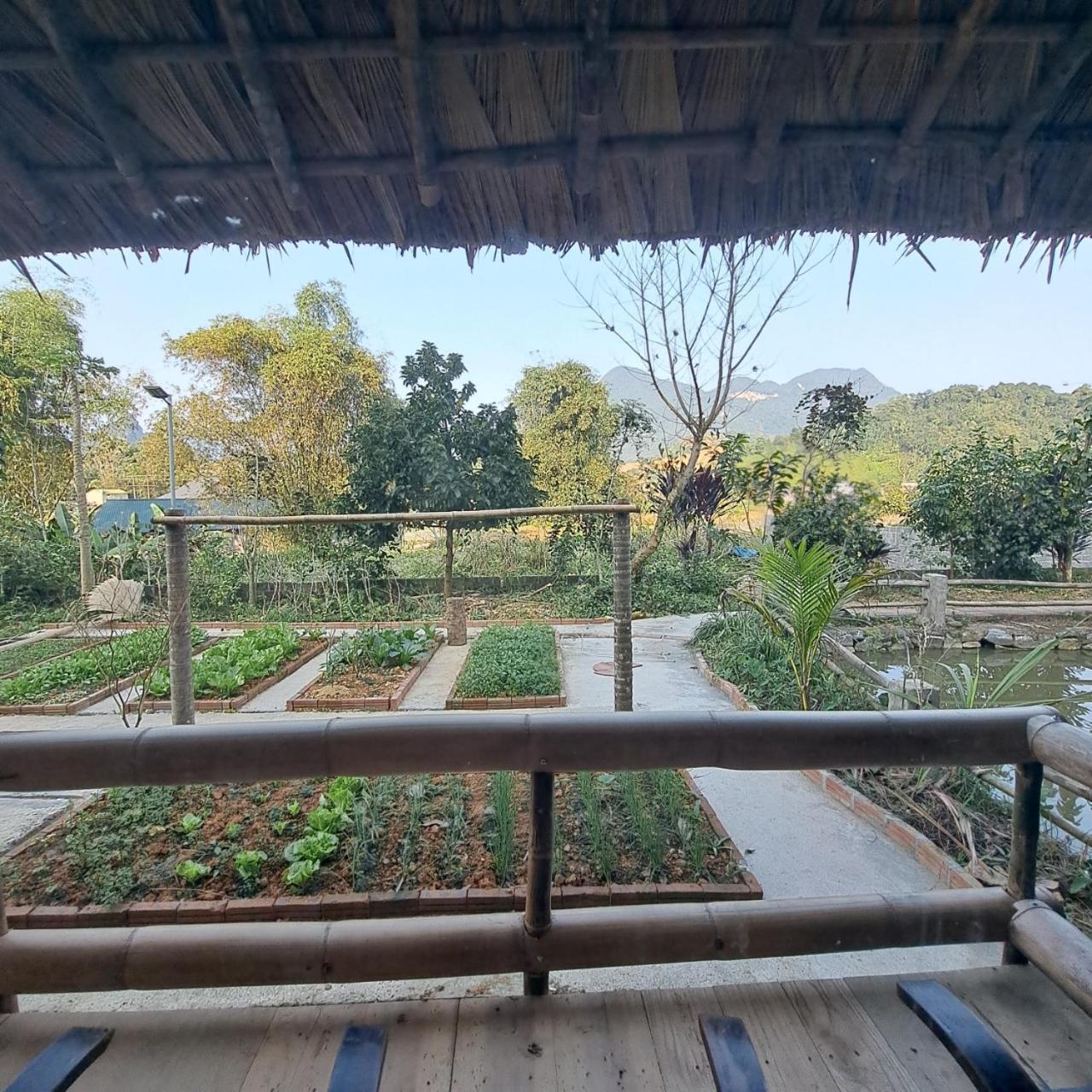 Homestay Field - Bungalow, Ha Giang Loop Tour, Motorbikes Rental Esterno foto