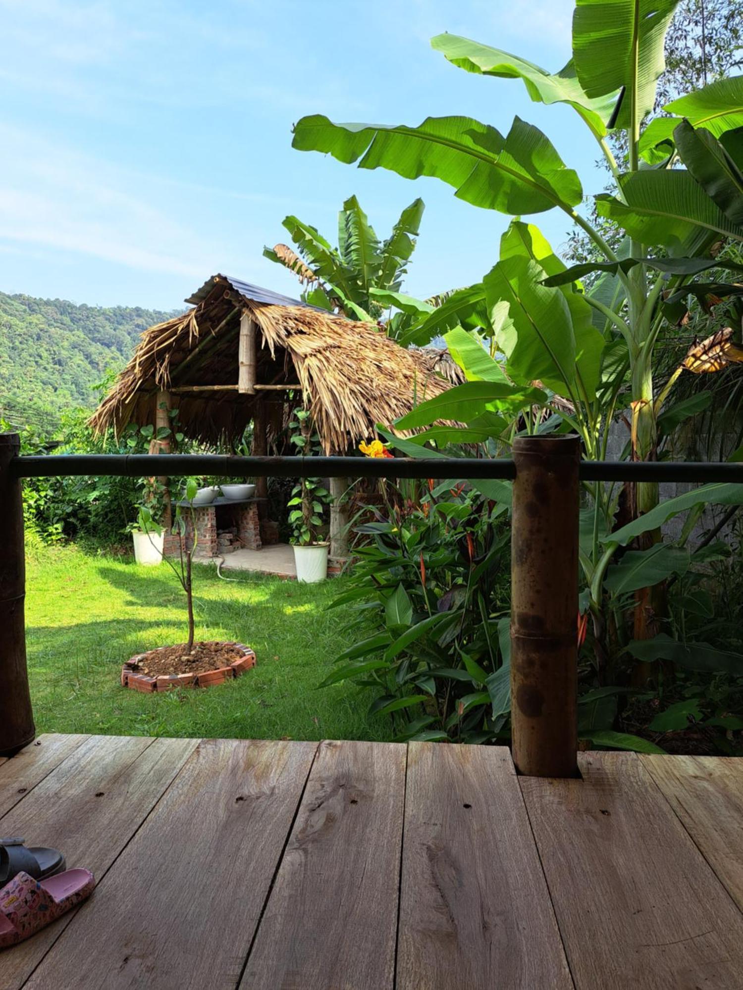 Homestay Field - Bungalow, Ha Giang Loop Tour, Motorbikes Rental Esterno foto