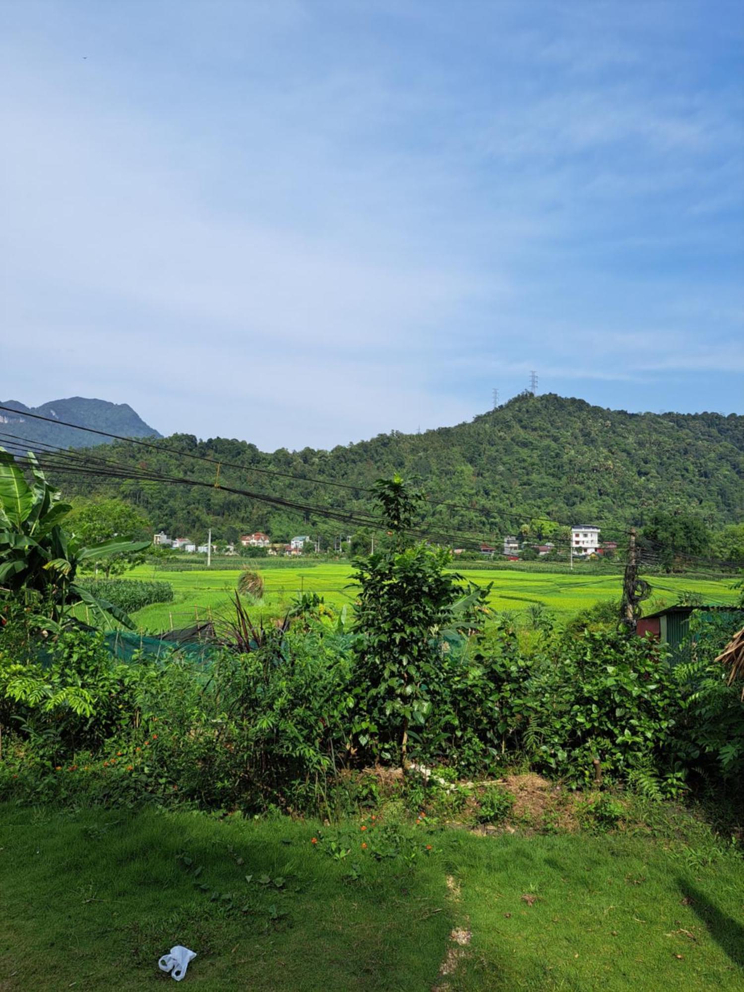 Homestay Field - Bungalow, Ha Giang Loop Tour, Motorbikes Rental Esterno foto