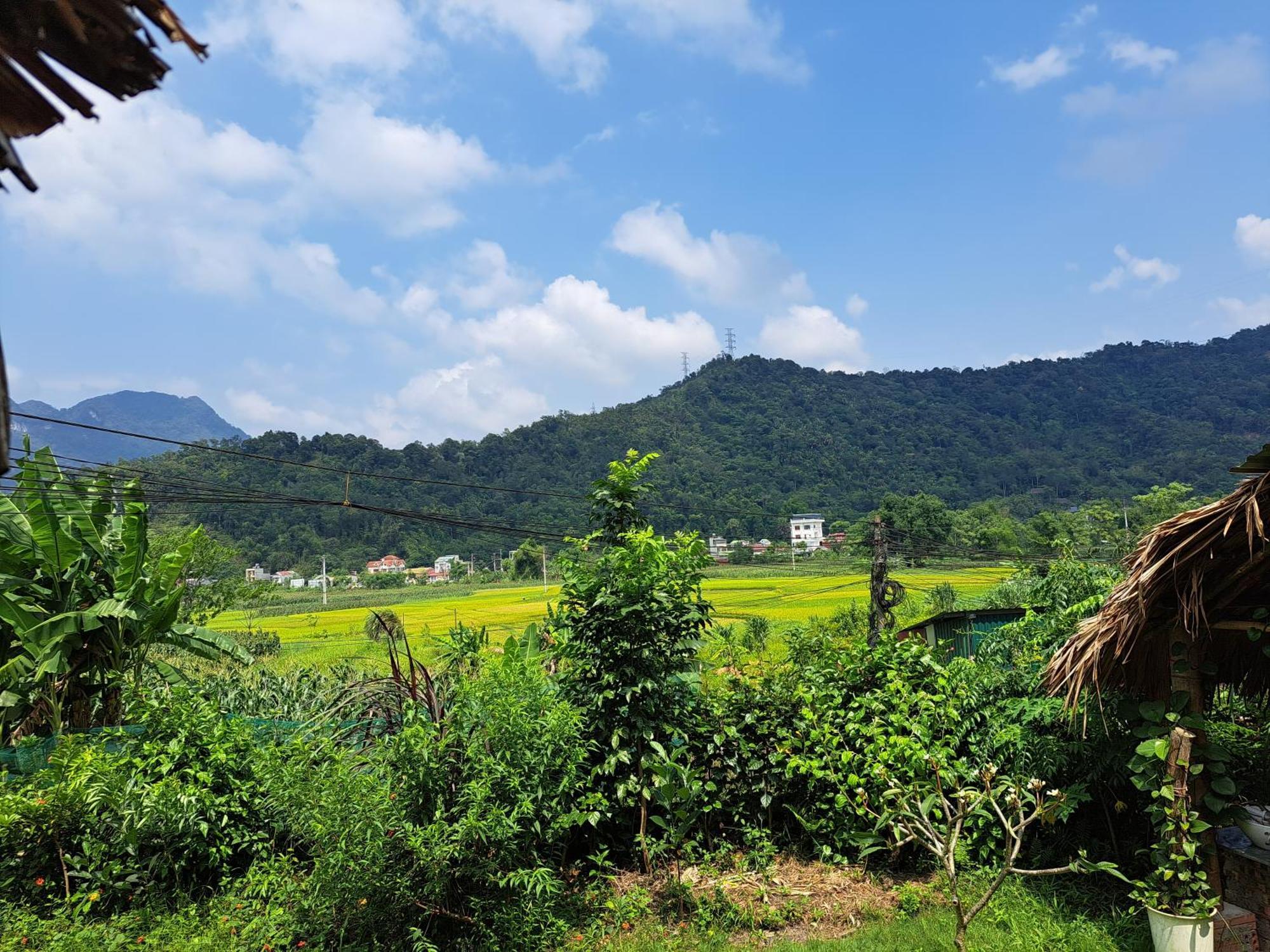Homestay Field - Bungalow, Ha Giang Loop Tour, Motorbikes Rental Esterno foto