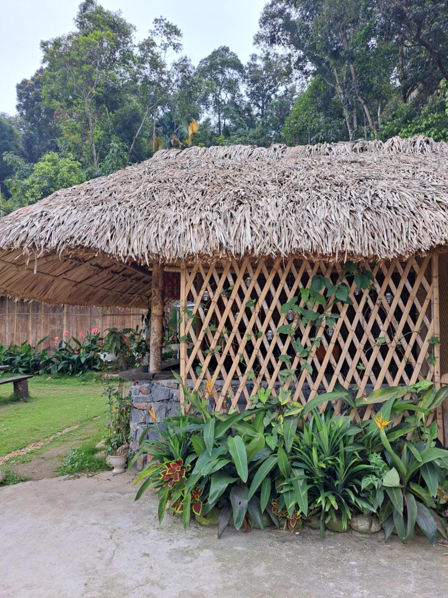 Homestay Field - Bungalow, Ha Giang Loop Tour, Motorbikes Rental Esterno foto