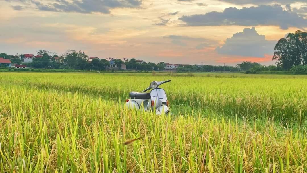 Homestay Field - Bungalow, Ha Giang Loop Tour, Motorbikes Rental Esterno foto