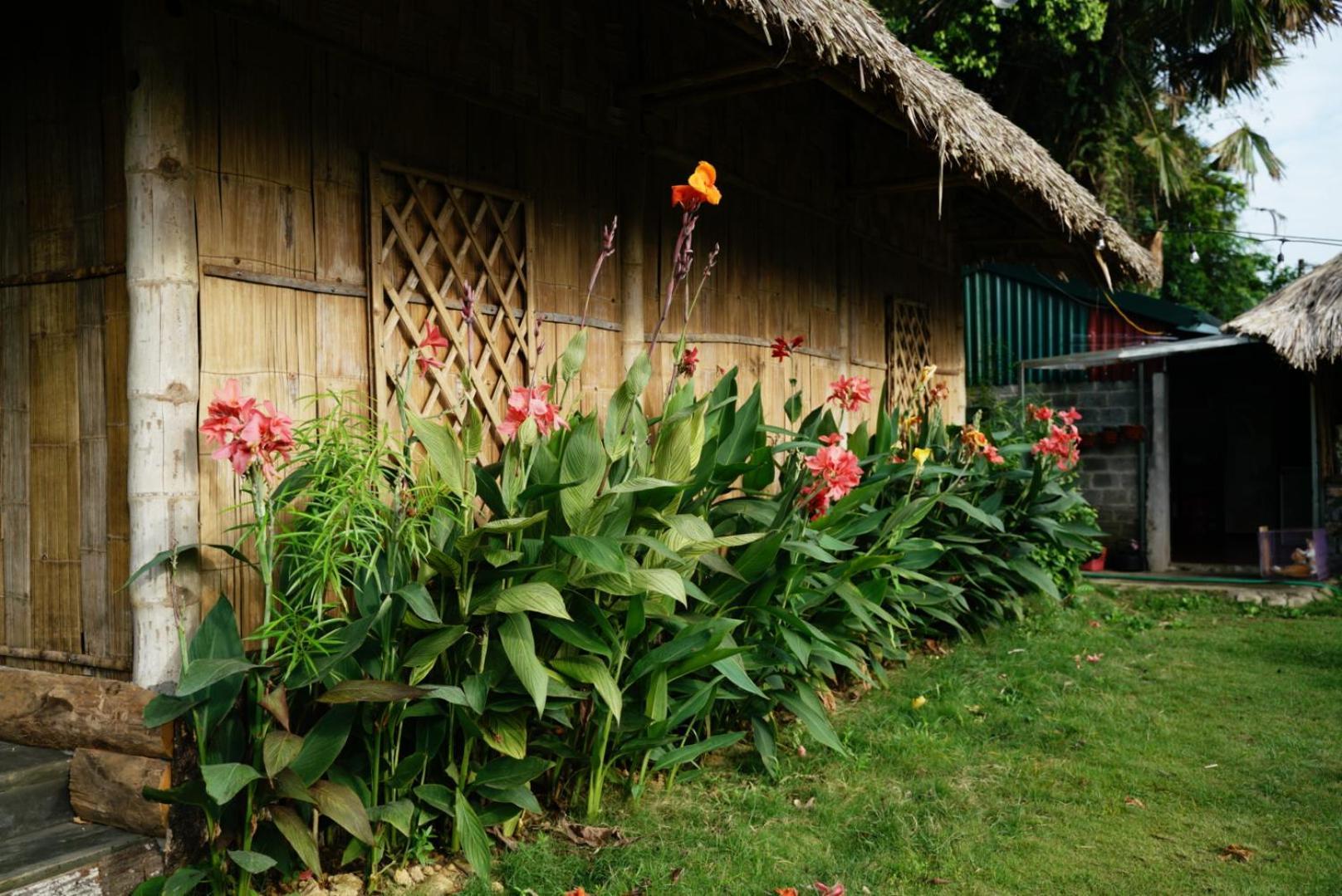 Homestay Field - Bungalow, Ha Giang Loop Tour, Motorbikes Rental Esterno foto